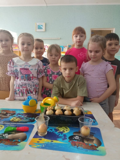 Огород на подоконнике Огород на подоконнике.